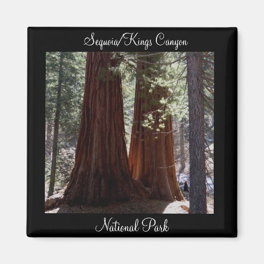 Sequoia/Kings Canyon Nationalpark Magnet (Vorne)
