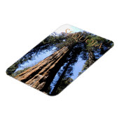 Sequoia/Kings Canyon Nationalpark Magnet (Linke Seite)
