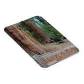 Sequoia/Kings Canyon Nationalpark Magnet (Rechte Seite)