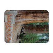 Sequoia/Kings Canyon Nationalpark Magnet (Horizontal)