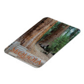 Sequoia/Kings Canyon Nationalpark Magnet (Linke Seite)