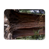 Sequoia Kings Canyon Nationalpark Magnet (Horizontal)