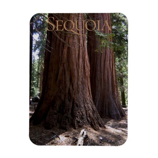 Sequoia Kings Canyon Nationalpark Magnet (Vertikal)
