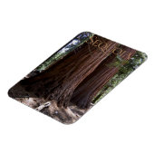 Sequoia Kings Canyon Nationalpark Magnet (Linke Seite)