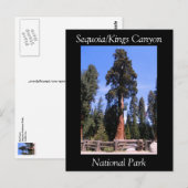 Sequoia Kings Canyon Nationalpark Postcard Postkarte (Vorne/Hinten)