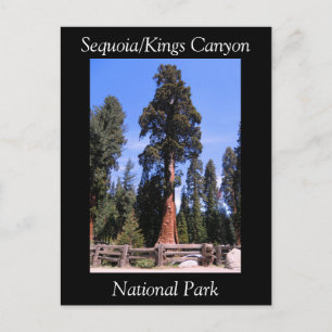 Sequoia Kings Canyon Nationalpark Postcard Postkarte