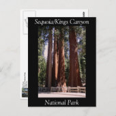 Sequoia Kings Canyon Nationalpark Postcard Postkarte (Vorne/Hinten)