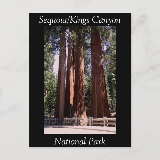 Sequoia Kings Canyon Nationalpark Postcard Postkarte (Vorderseite)