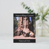 Sequoia Kings Canyon Nationalpark Postcard Postkarte (Stehend Vorderseite)
