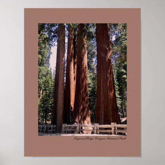 Sequoia/Kings Canyon Nationalpark Poster (Vorne)
