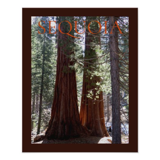 Sequoia/Kings Canyon Poster (Vorne)