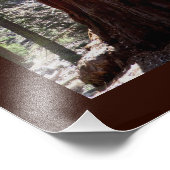 Sequoia/Kings Canyon Poster (Ecke)