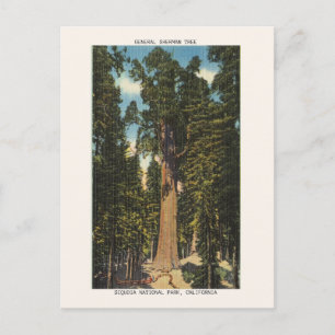 Sequoia National Park General Sherman Tree Postkarte