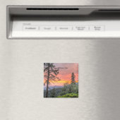 Sequoia National Park, Kalifornien, Magnet (In Situ (Geschirrspüler))