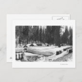 Sequoia National Park Snow Scene in Village Postkarte (Vorne/Hinten)