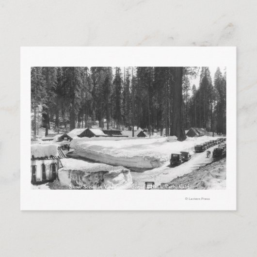 Sequoia National Park Snow Scene in Village Postkarte (Vorderseite)