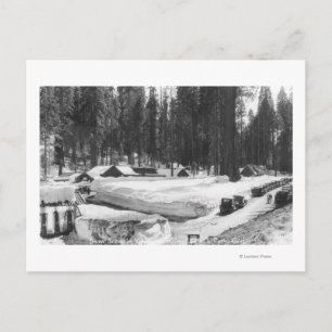 Sequoia National Park Snow Scene in Village Postkarte