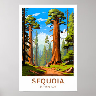 Sequoia National Park Travel Print Poster
