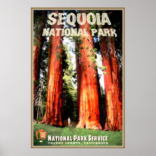 Sequoia National Park Tulare County Kalifornien Ne Poster