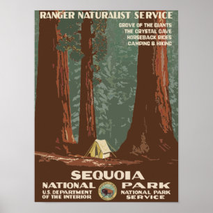 Sequoia National Park USA Vintage Reise Poster