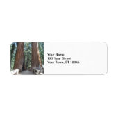 Sequoia-Nationalpark (Vorne)