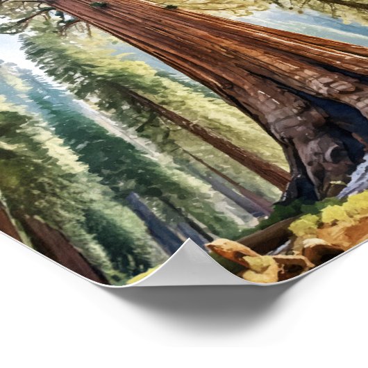 Sequoia Nationalpark California Poster (Ecke)