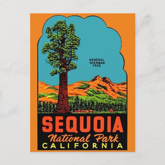 Sequoia Nationalpark California Postkarte (Vorderseite)