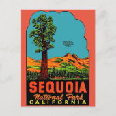 Sequoia Nationalpark California Postkarte (Vorderseite)