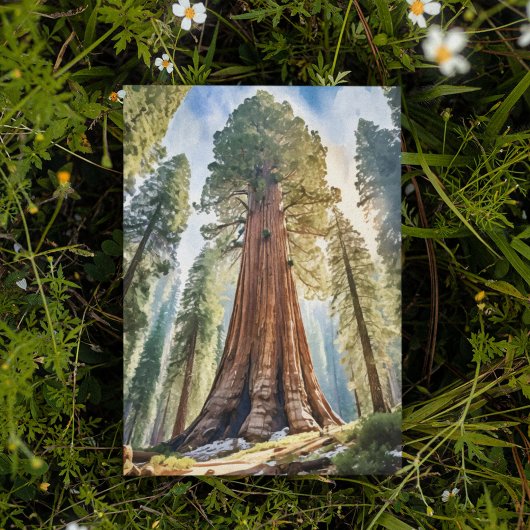 Sequoia Nationalpark California Postkarte