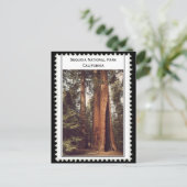 Sequoia Nationalpark California Postkarte (Stehend Vorderseite)