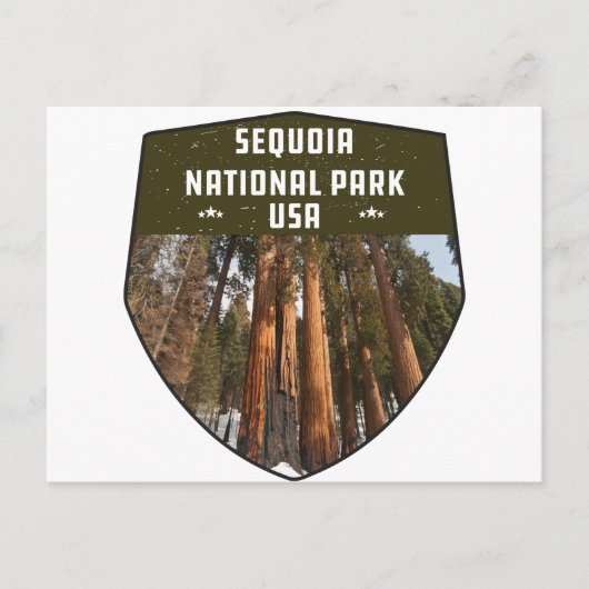 Sequoia Nationalpark California Postkarte (Vorderseite)
