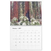 Sequoia Nationalpark Forest Landscapes Kalender (Feb 2027)