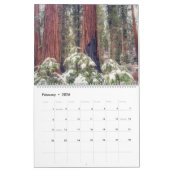 Sequoia Nationalpark Forest Landscapes Kalender (Feb 2026)