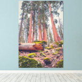 Sequoia Nationalpark Forest Landschaft Leinwanddruck (Insitu (Holzboden))