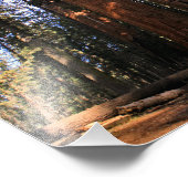 Sequoia-Nationalpark Fotodruck (Ecke)