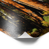 Sequoia-Nationalpark Fotodruck (Ecke)