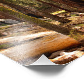 Sequoia-Nationalpark Fotodruck (Ecke)