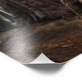 Sequoia-Nationalpark Fotodruck (Ecke)