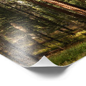 Sequoia-Nationalpark Fotodruck (Ecke)