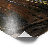 Sequoia-Nationalpark Fotodruck (Ecke)