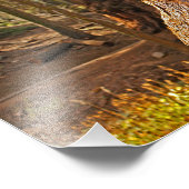Sequoia-Nationalpark Fotodruck (Ecke)
