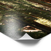 Sequoia-Nationalpark Fotodruck (Ecke)