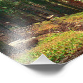 Sequoia-Nationalpark Fotodruck (Ecke)