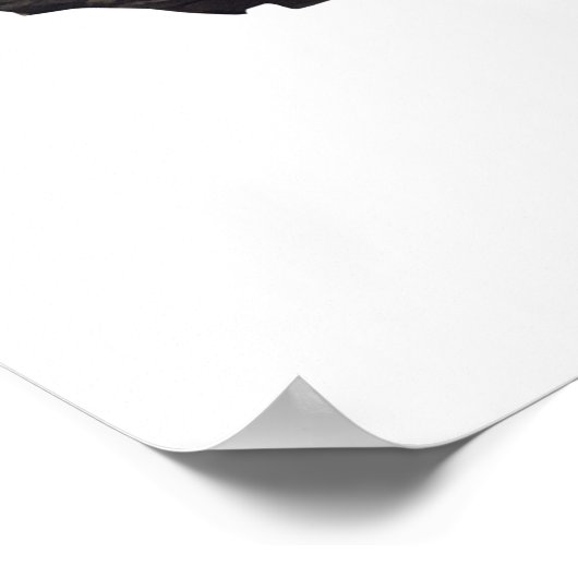 Sequoia Nationalpark Holzschild Poster (Ecke)