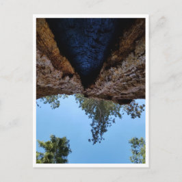 Sequoia-Nationalpark: Hundetage Postkarte