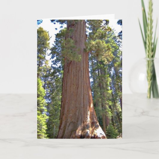 Sequoia-Nationalpark Karte (Vorderseite)