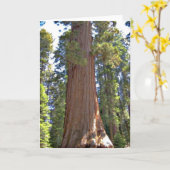 Sequoia-Nationalpark Karte (Gelbe Blume)