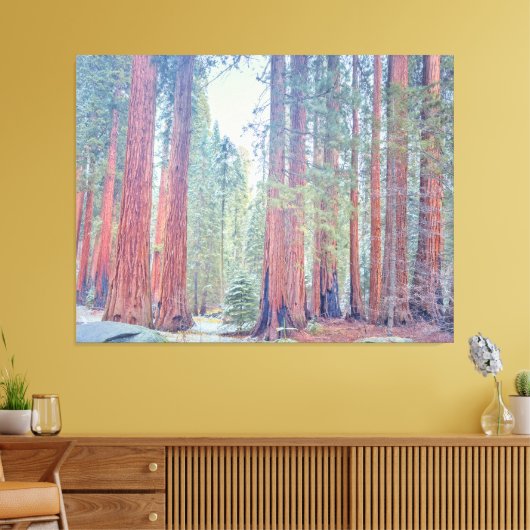 Sequoia-Nationalpark Leinwanddruck (Insitu (Wohnzimmer))