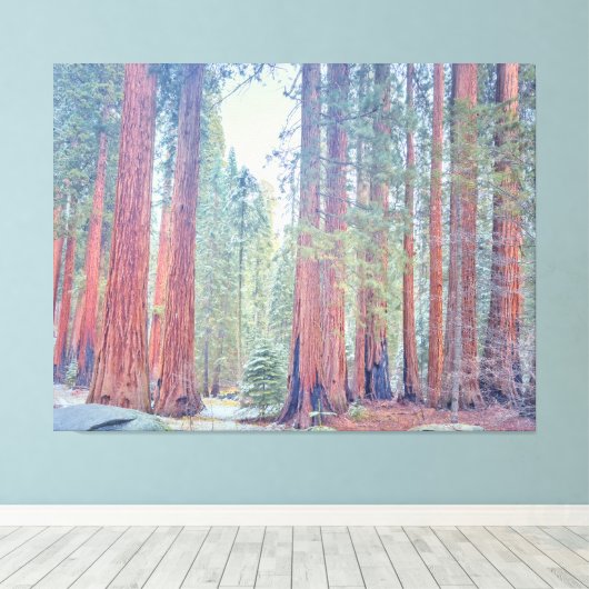 Sequoia-Nationalpark Leinwanddruck (Insitu (Holzboden))