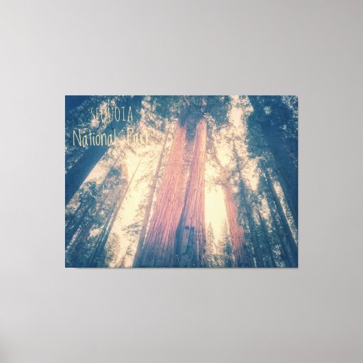 Sequoia-Nationalpark Leinwanddruck (Vorderseite)